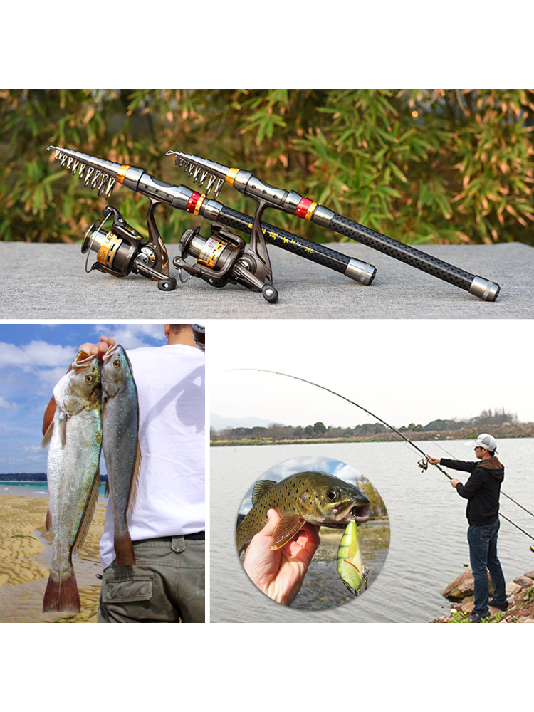 Fishing Rod Spinning Reel Comb - Fishing Rod Carbon Fiber avis et prix