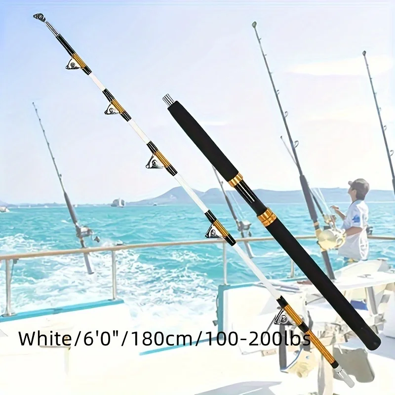 KEEHOME Trolling Rod 2-Section - Fishing Rod Fly avis et prix